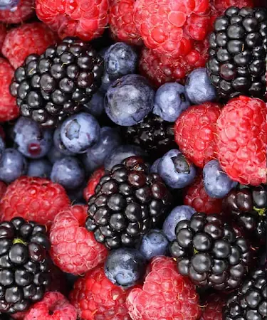 Frutas del bosque con propiedades antioxidantes y protectoras
